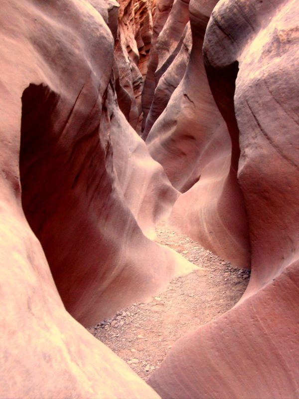 04160302LittleWildHorse (1072)